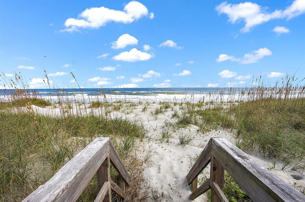 Jacksonville Beach Dunes